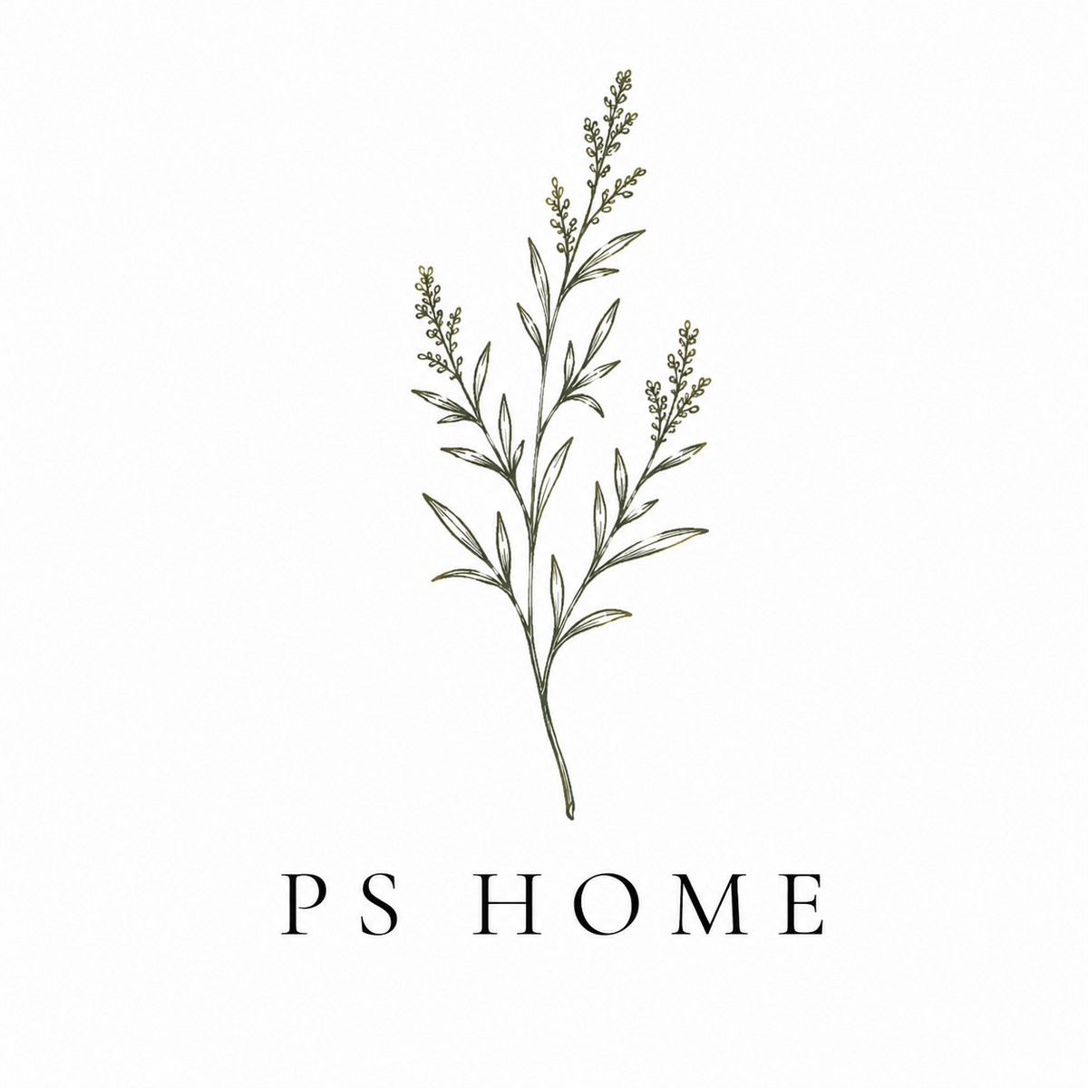 PS Home